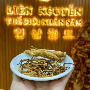 đông trùng hạ thảo